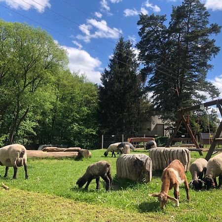Kamenacka Myslivna Hotel Moravany  Bagian luar foto